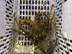 -四海之家(蛇口店)