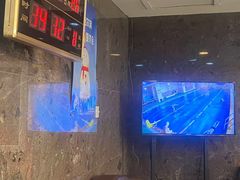 -报业大厦游泳馆