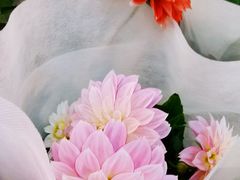 -双季花艺园艺市场(浦东店)
