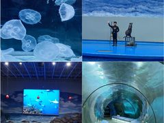 -福州罗源湾海洋世界旅游区