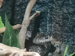 -顺德南宏海立方海洋公园