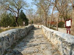 -阳台山自然风景区