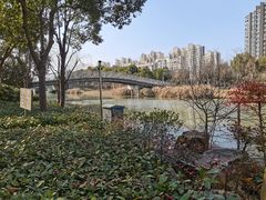 -南翔镇银翔湖公园
