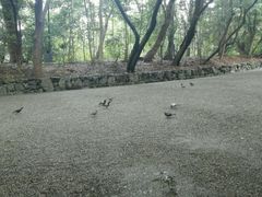 -热田神宫