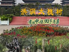 -大槐树寻根祭祖园