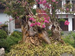 IMAG2127-山水间小院