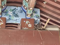 -皇家御河游(紫御湾码头)