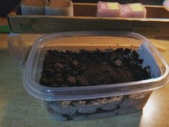-blt精品超市(上海杨浦合生汇店)
