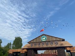 -沈阳森林动物园