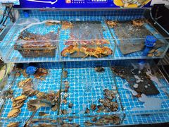 -海旺小海鲜大排档(冠亚星城店)