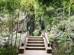 iphone_upload_pic-望江楼公园