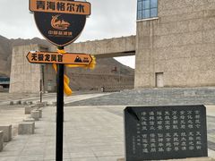 -无极龙凤宫