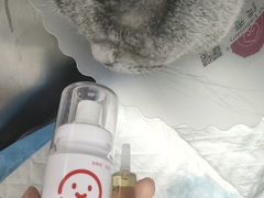 -达爱动物医院·犬猫分区·CT·复杂眼科(远洋山水分院)