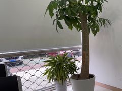 -上海燃气浦东销售有限公司(胶东路店)