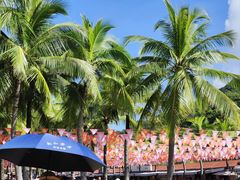 -三亚南山文化旅游区