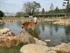 -盈香心动乐园