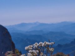-白草畔自然风景区