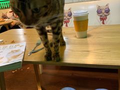 -藦茜花园宠物主题亲子互动体验馆(国顺东路店)