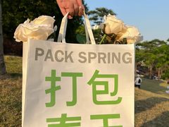 -白石龙音乐公园