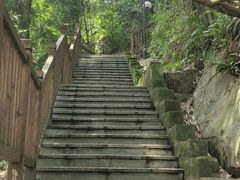 -龙泉洞(沙坪坝区)
