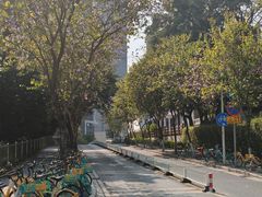 -荔湾湖公园