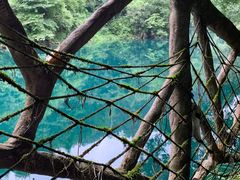 -红峡谷