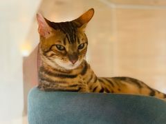 -Me Coffee下午茶艺术空间