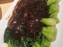 素海参扒菜心-功德林(南京西路店)