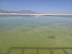 -盐湖景区