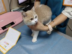 -创凡宠物医院·骨专科  猫科中心(西乡分院)