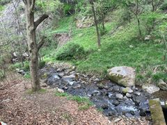 -秦岭终南山世界地质公园翠华山景区