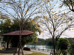 -时光花园(白鹭洲店)