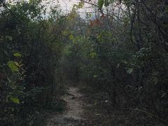 -羊山湖公园