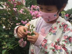-尚贤河湿地