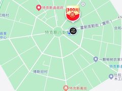 -特克斯八卦城