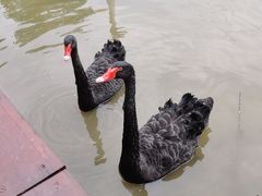 -宁波杭州湾国家湿地公园