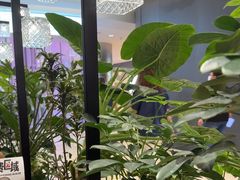 -THE WOODS 简餐 (国贸商城店)