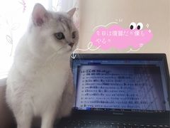 -猫音日语留学培训