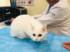 -美迦爱-牙专科·兔科·骨科诊疗中心(北苑店)