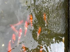 -南宁荔园维景国际酒店·荔园中餐厅
