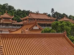 -深圳仙湖植物园