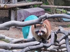 -宁波野生动物园