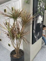-那茉 Hair Salon