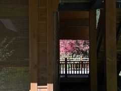 -古尔沟华美达温泉度假酒店