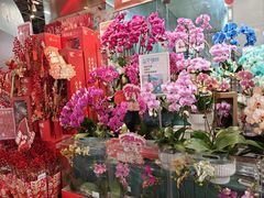 -盒马鲜生(红莲店)