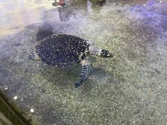 -鸿通城购物中心