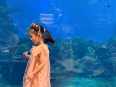 -海棠湾洲际-涛·海底餐厅·美人鱼·自助餐·海底隧道