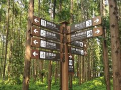 -黄海国家森林公园