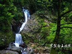 -石台牯牛降景区