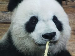 -海南热带野生动植物园